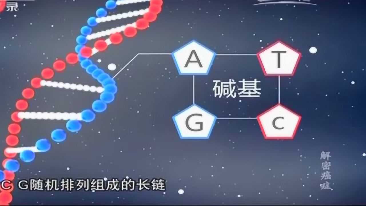 DNA双螺旋结构解密生命基础结构_高清1080P在线观看平台_腾讯视频