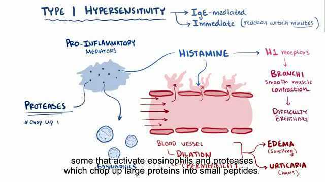 type i hypersensitivity
