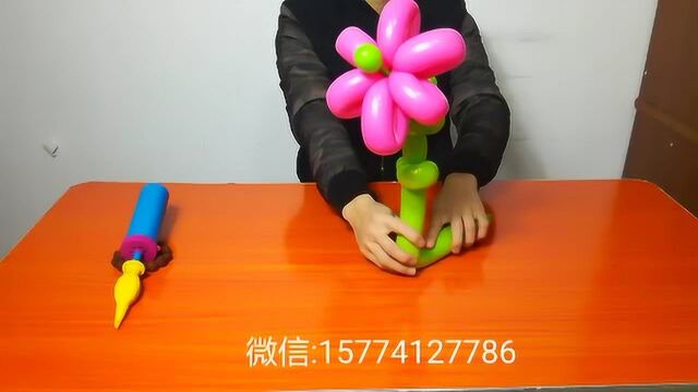 魔术气球六瓣花
