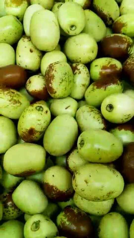 泰美鲜果 云南冰糖枣