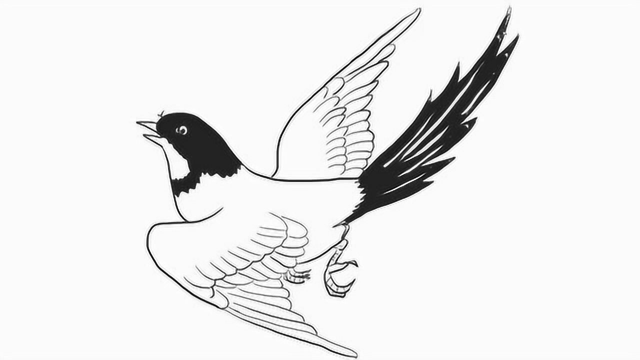 飞翔的喜鹊儿童亲子简笔画_腾讯视频