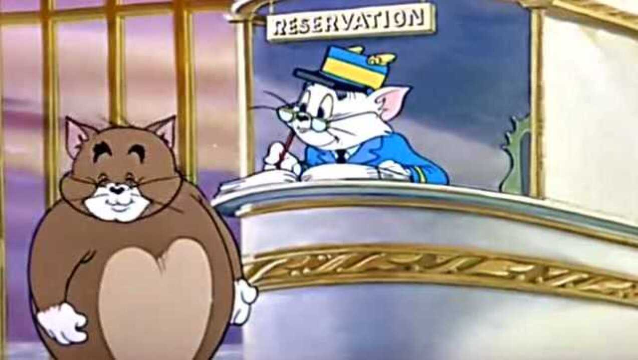 猫和老鼠猫咪灵魂出窍入了天堂