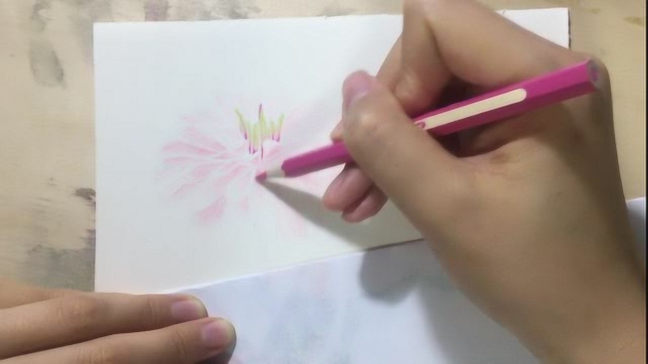 彩铅百日草技法教程