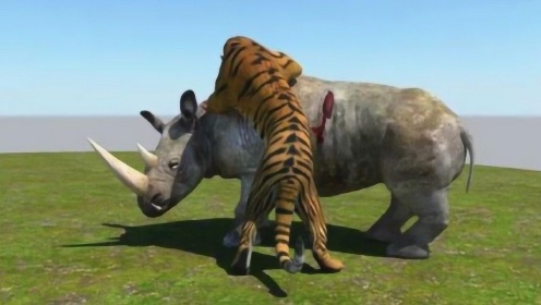 大象,犀牛和野牛河边喝水,老虎在对岸一声大吼,吓退了所有动物!