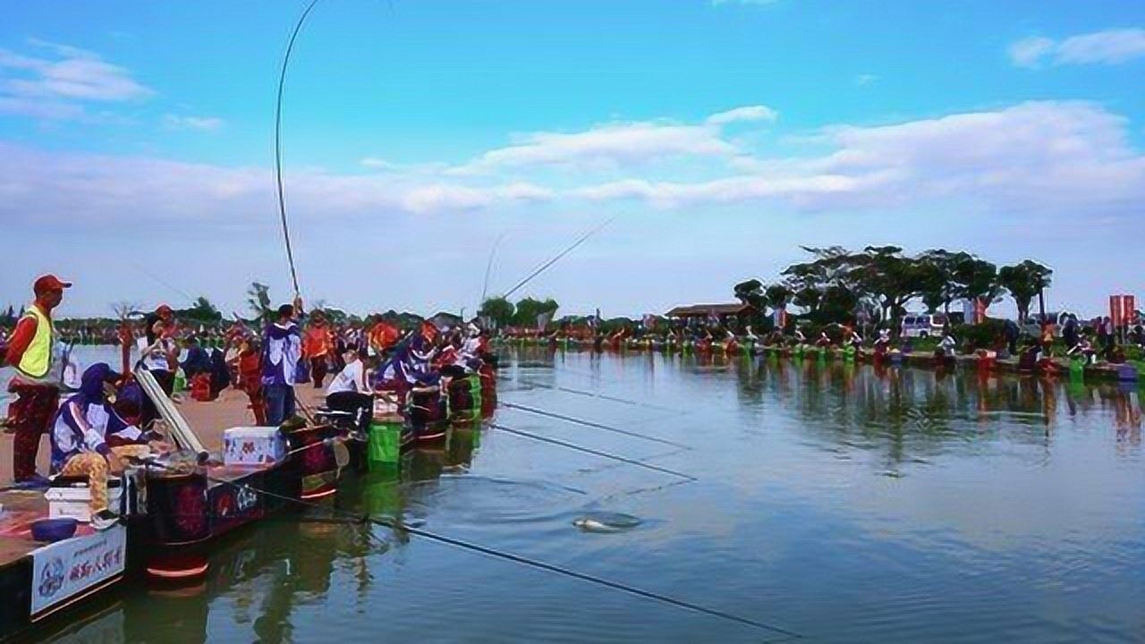 争夺100万奖金近2000钓友相聚泗洪大圆塘同塘竞技钓鱼定输赢