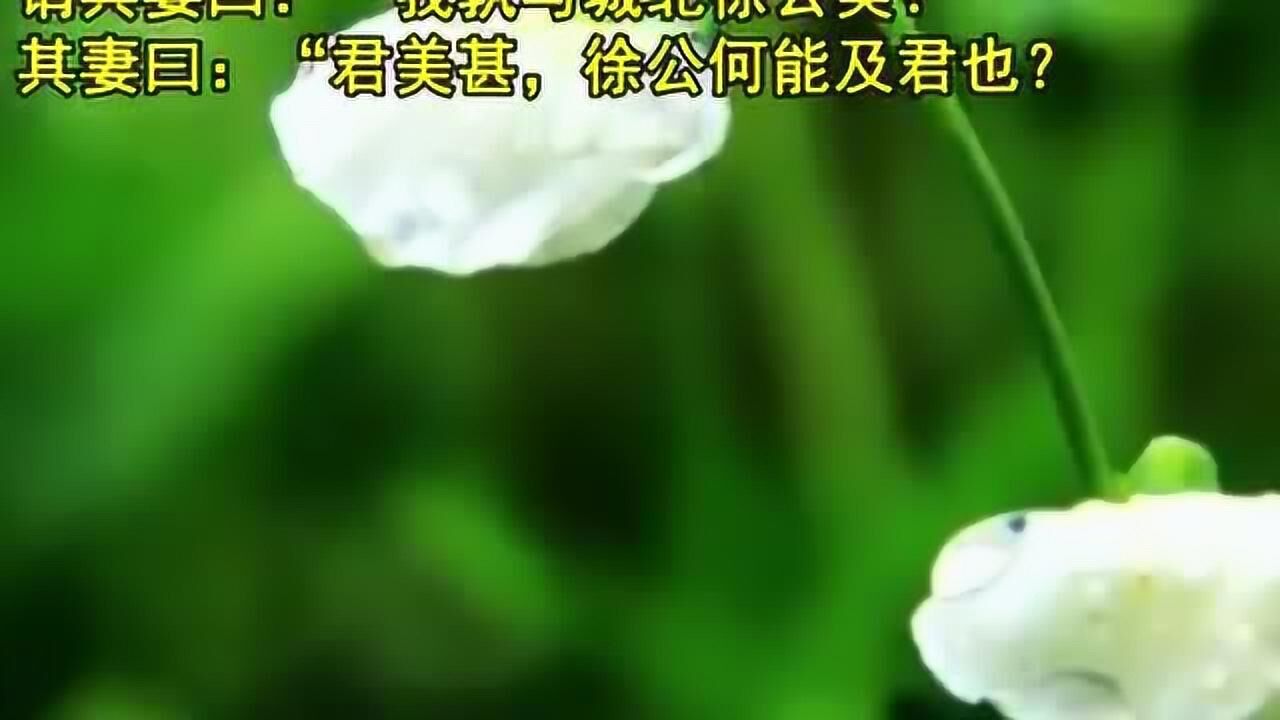 邹忌讽齐王纳谏 战国策视频朗诵腾讯视频