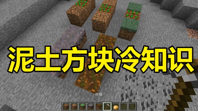 我的世界 Minecraft MC里泥土方块的冷知识