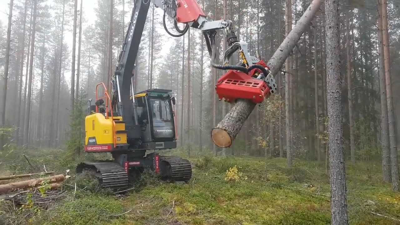 实拍德国伐木机高效率处理树木干净利索