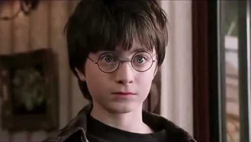 哈利波特:来自魔法学院的邀请,波特先生