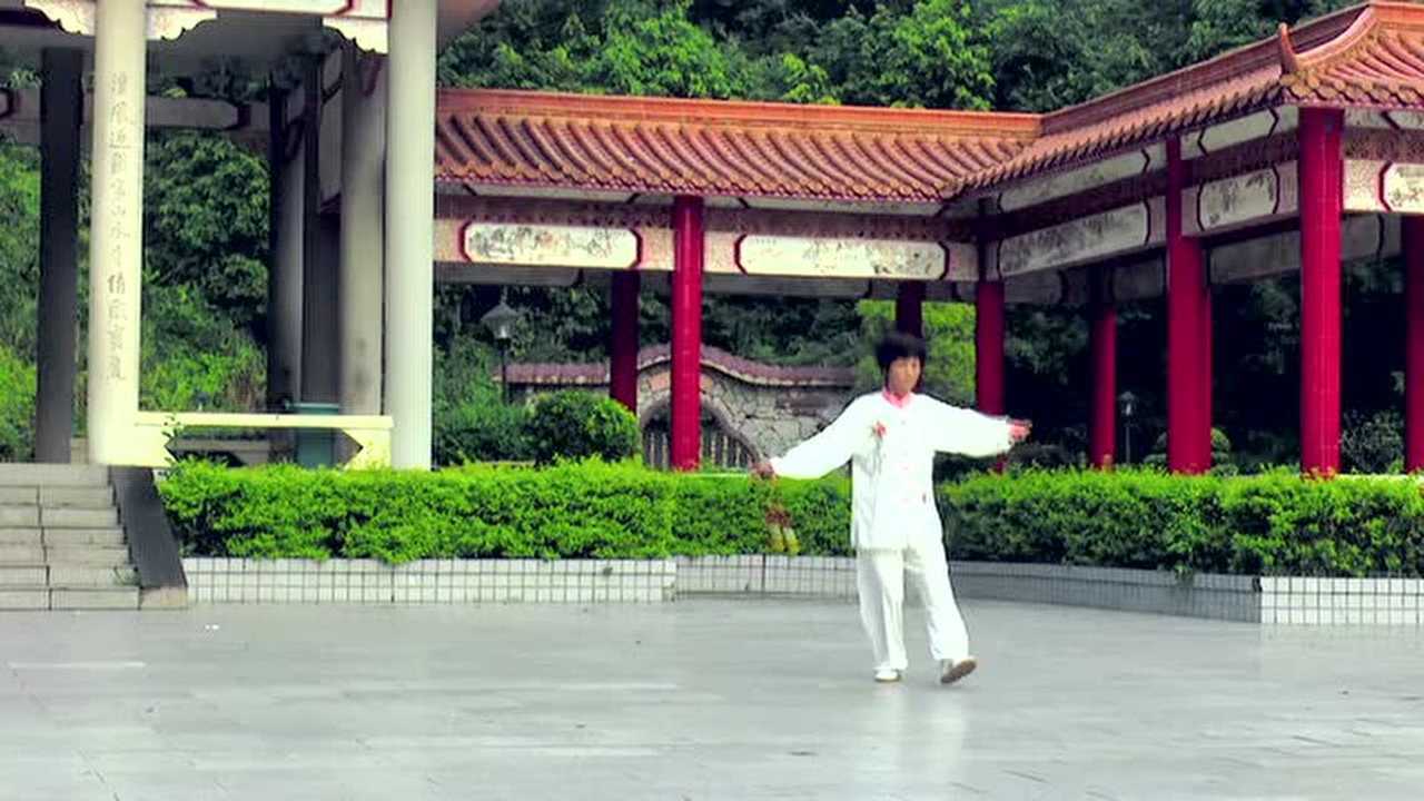 刘淑芝《杨式56式太极剑》