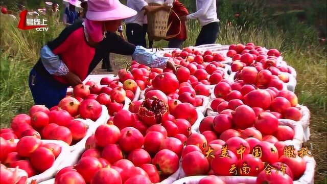 大美中国 瞰秋 云南会泽