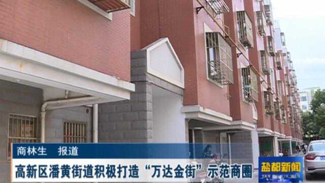 高新区潘黄街道积极打造万达金街示范商圈