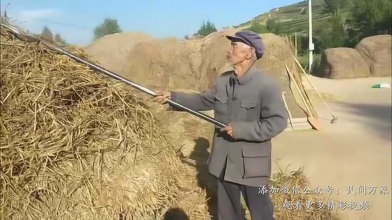 实拍会宁农村农民辛勤劳作的全过程_高清