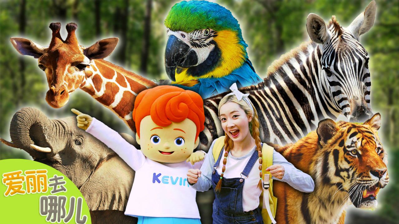 爱丽去哪儿爱丽去哪儿爱丽的秋季郊游特别企划之寻找消失的动物吧