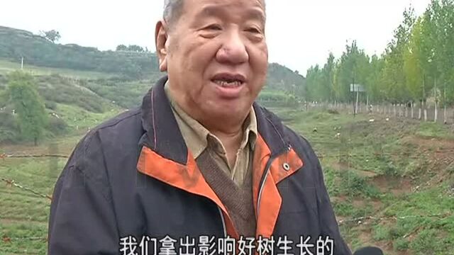 交口县:万亩“辽东栎” 打造生态扶贫新模式