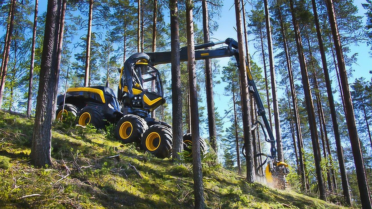 世界上最霸气的森林机械,拔起大树一口"咬"成木棍,头一次见