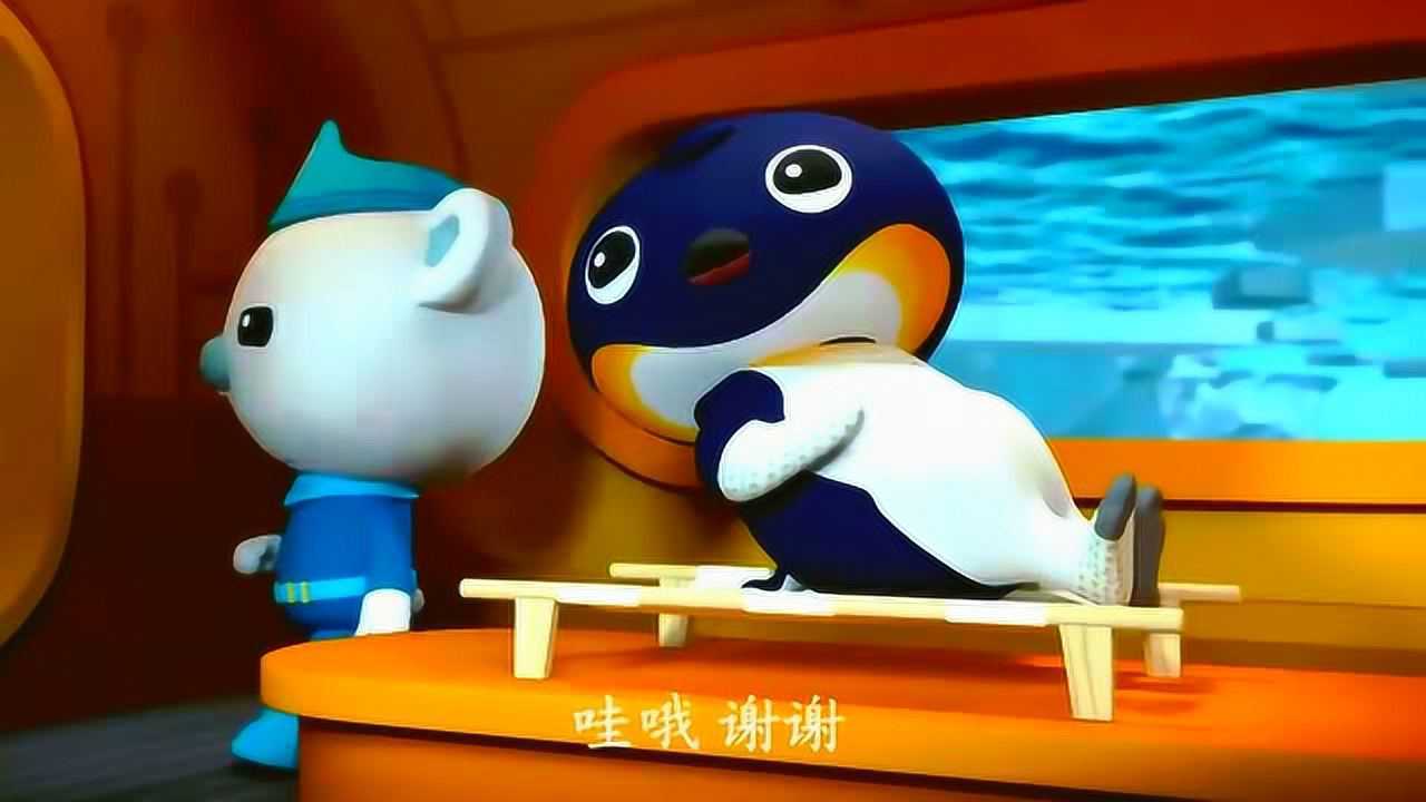 海底小纵队第四季企鹅家族最大最高的品种是什么呢