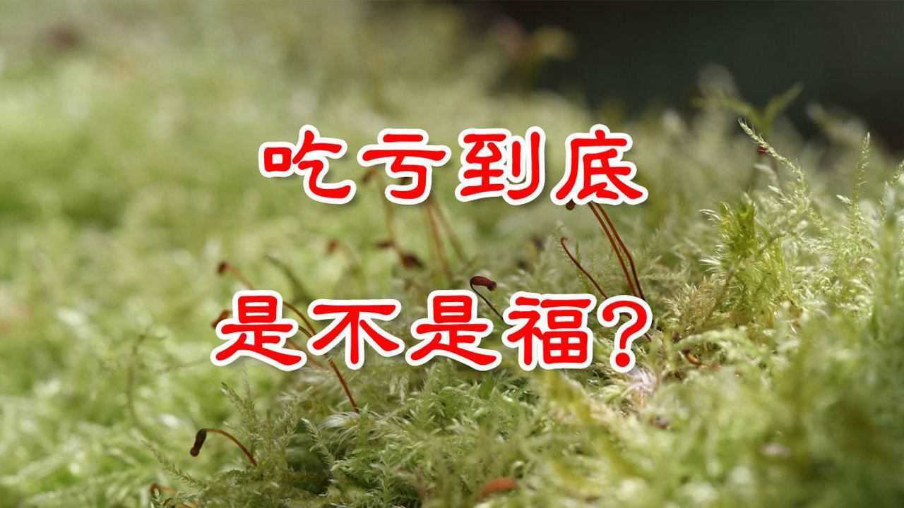 "吃亏是福",吃亏真的是福吗?