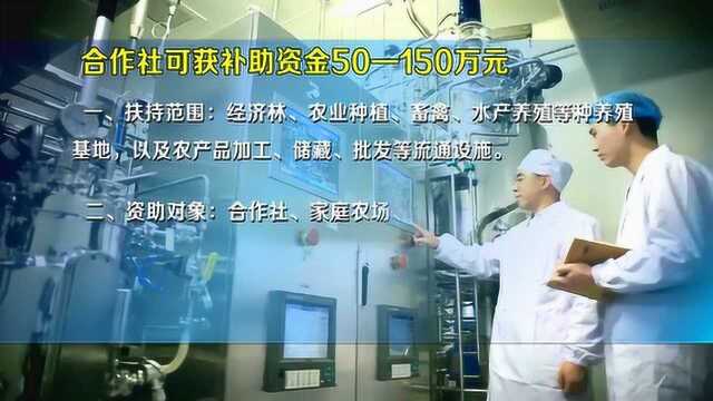 快来看!2019什么农业项目可以获得国家重点补贴?最高可获一亿元