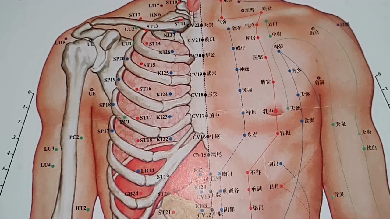 黄帝内针学习笔记186躯干前胸腹上焦