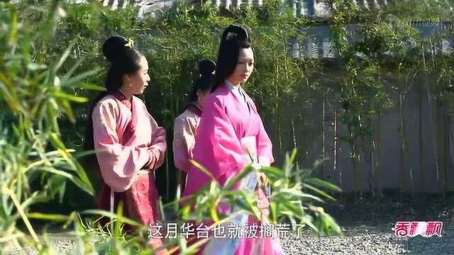 芈月传:魏美人转到了幽禁芈月的地方