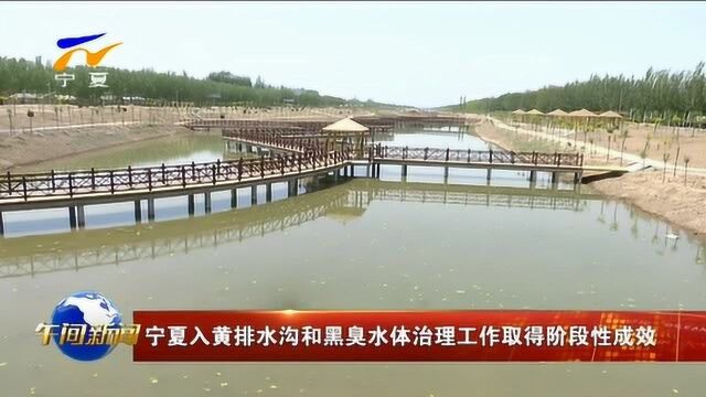 宁夏入黄排水沟和黑臭水体治理工作取得阶段性成效