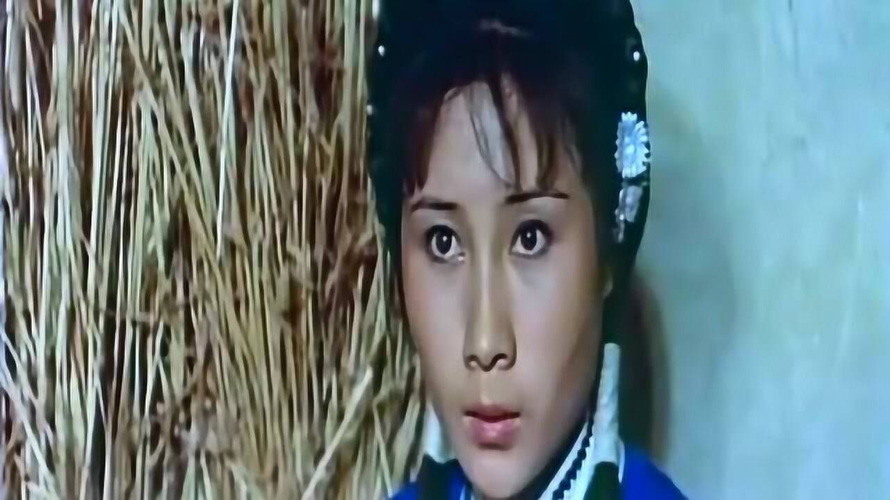 丁岚版少林寺弟子里面的少林寺方丈和尚都是真少林弟子