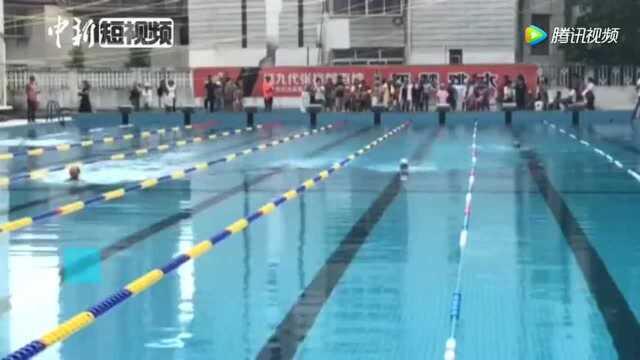 小小泳者不一般泳池中拼技艺赛技能