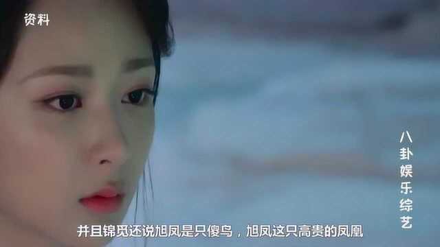 《香蜜沉沉烬如霜》剧中9位角色真身,润玉是白龙,第2身份不简单