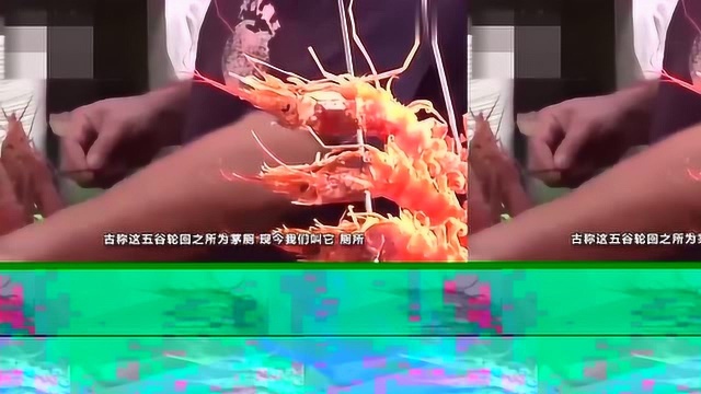 中国独有的奇怪的厕所,其中的透明玻璃厕所,看完整个人都不好了