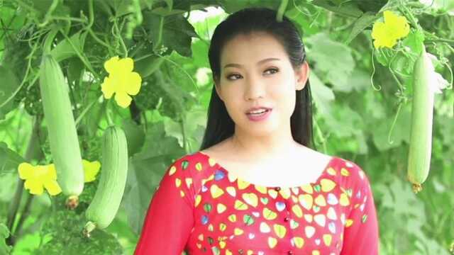 非常好听的经典越南抒情歌曲《DUYEN QUE TRANG ANH THO》