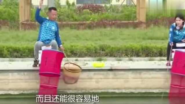 台钓的时候鱼护安装到底有多讲究?看看大师是怎么做的