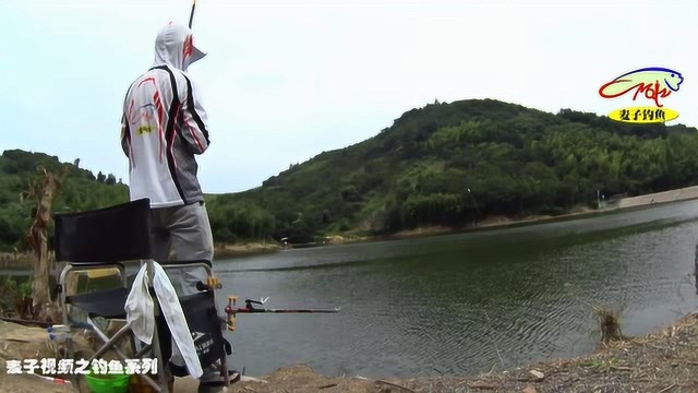 钓鱼教学16,钓草鱼该怎样选择窝、饵,又该怎么钓?