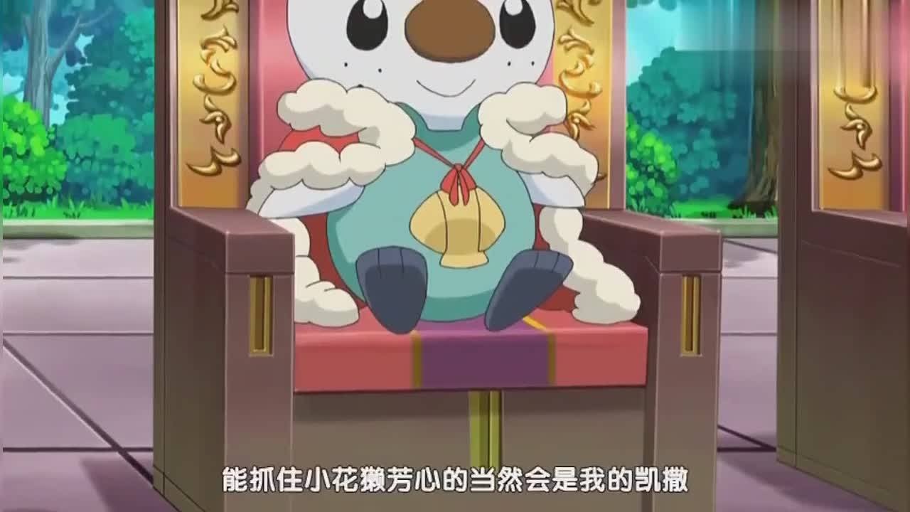 神奇宝贝,小智的水水獭开挂了,竟把自己的进化型打败了