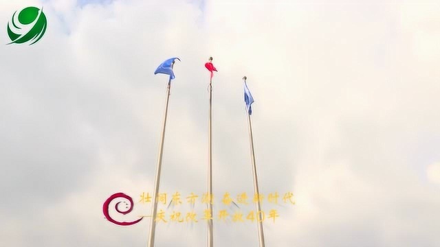 美岭村:打好名片 砥砺奋进