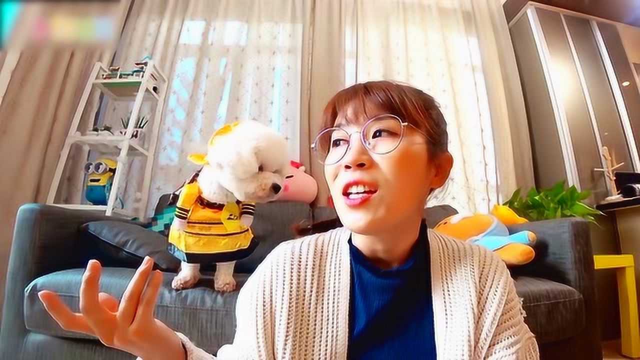 小伶玩具狗狗万圣节换装游戏上演超级搞笑的汪禧攻略