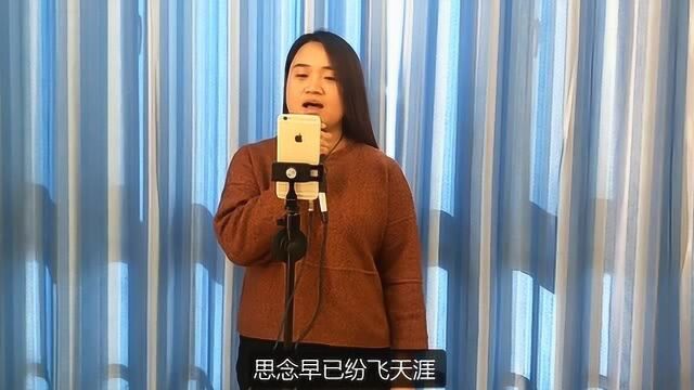 办公室小姐姐翻唱张婧的《最初的年华》