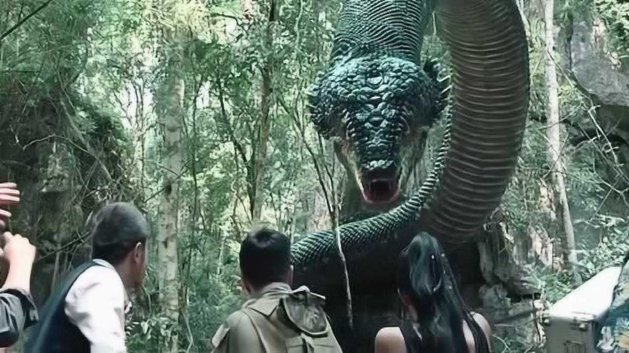 大蛇:泣血海棠开花结果,超大巨蛇突然现身!