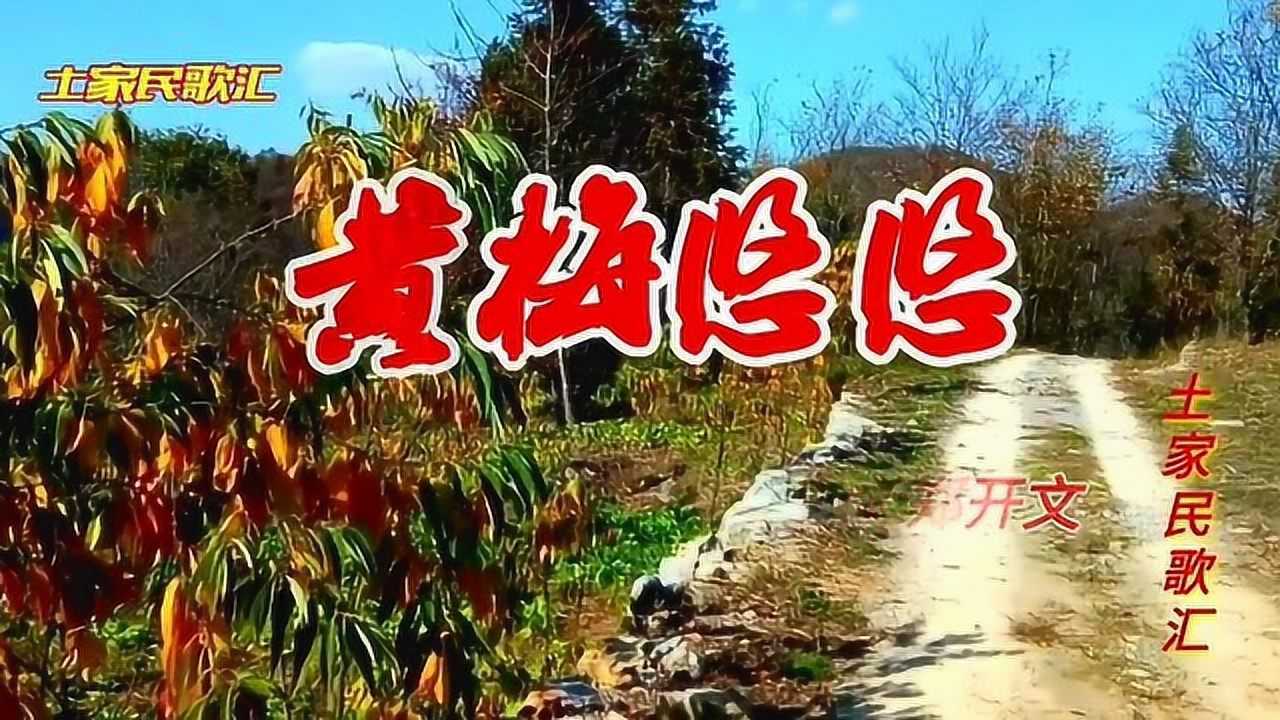 斯兰一首催泪情歌《黄梅悠悠》半世孤影他乡走,一曲乡音情难留