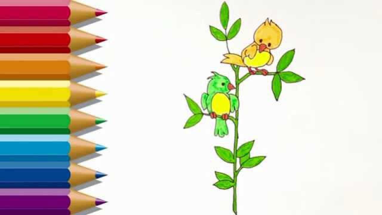 儿童简笔画树上的小鸟