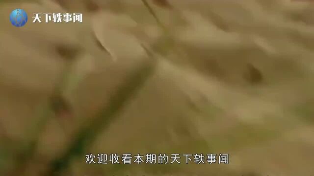 探寻神秘的蒙古死亡之虫是否真实存在死亡之虫究竟为何物