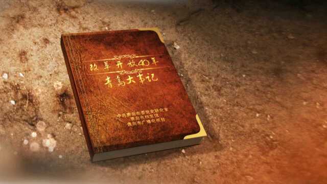 改革开放40年ⷩ’岛大事记:2004年