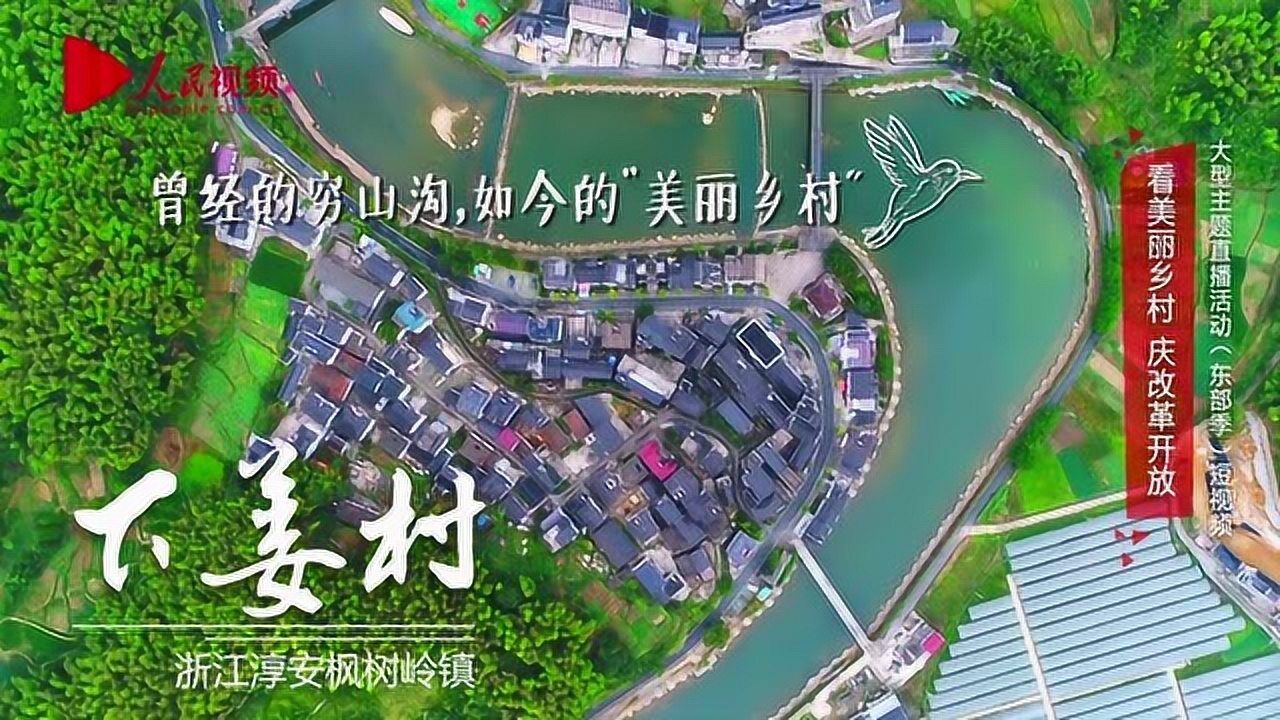 美丽乡村·浙江下姜村:深山遇见"绿富美"