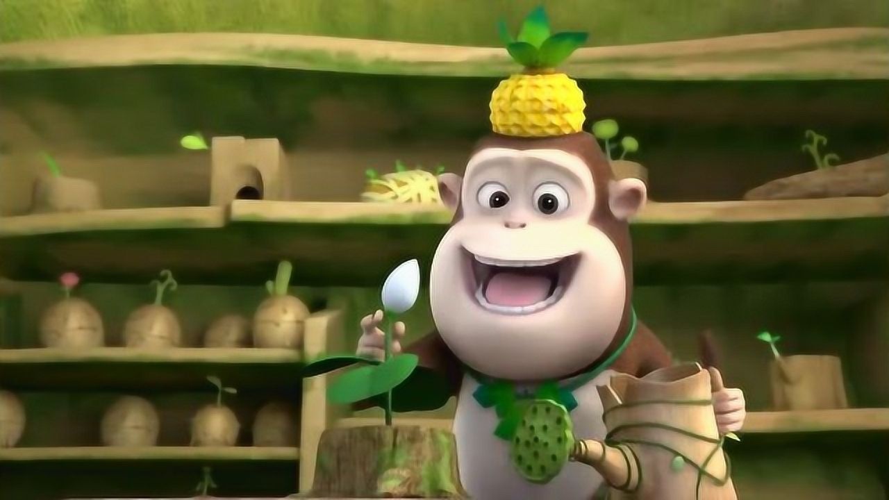 熊熊乐园:毛毛就快要回来了荷花终于花啦,毛毛看到会很高兴的