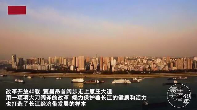 康庄大道40年 湖北宜昌:喜闻江豚来探春 乐见峡江著新绿