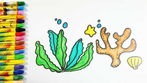 一起学画画海草和珊瑚手工早教