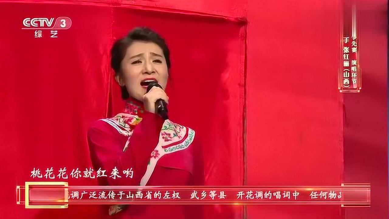 张红丽深情演唱桃花红杏花白经典民歌人美歌动听