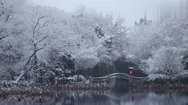 漫天飞雪下,那一抹让你停步的红色,是那么美