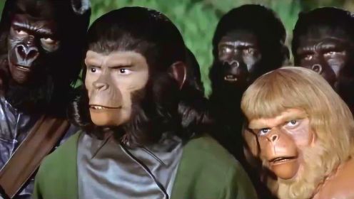 1973年科幻电影，人类文明被毁灭后，人猿和人类展开大决战