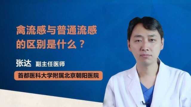 禽流感与普通流感的区别是什么